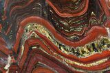 Polished Tiger Iron Stromatolite - ( Billion Years) #92963-1